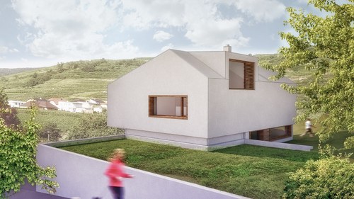 LEY 03