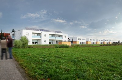 WHA Franzhausen 04